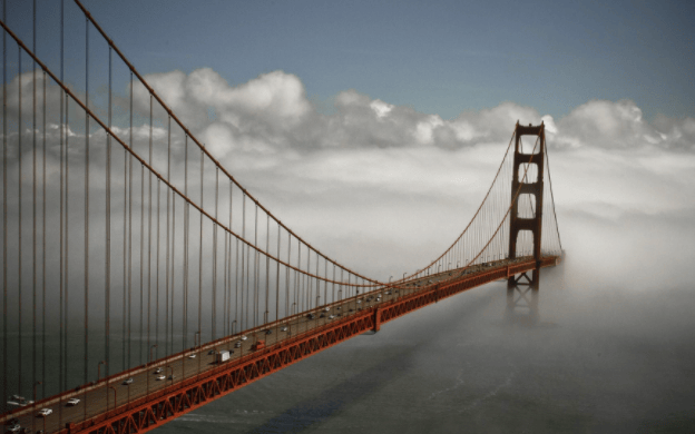 Seulement les chiens issus d&rsquo;élevages agrées ou de refuges pourront être vendus à San&nbsp;Francisco