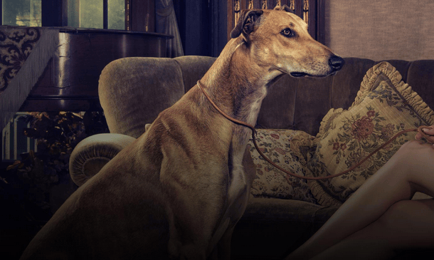 Un parfum pour chien à 4.000 dollars&nbsp;?
