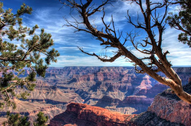 Un écureuil demande l’aide d’un touriste au Grand Canyon